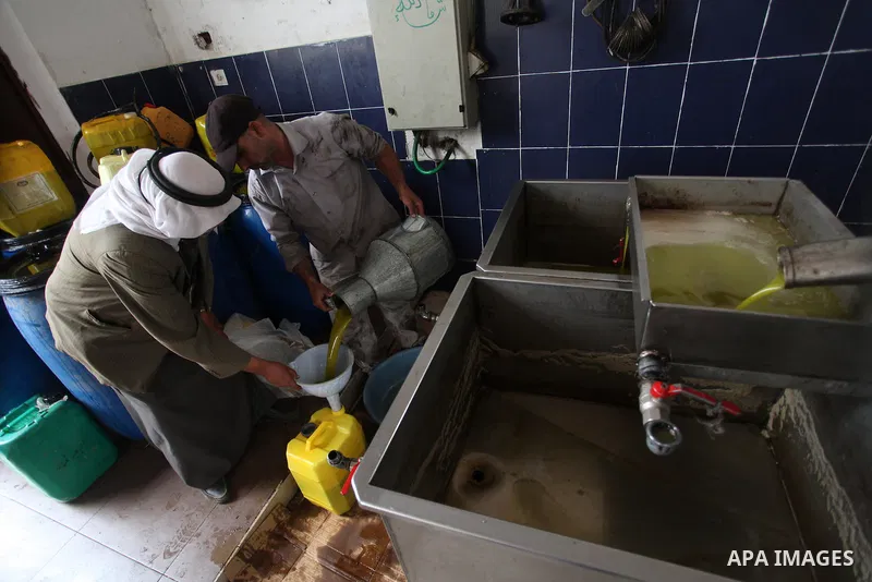 A Palestinian worker fills a can of olive oil freshly pressed in the West Bank city of Ramallah on October 31, 2012. Farmers across the Palestinian territories have started to harvest their olives, with many making their...
