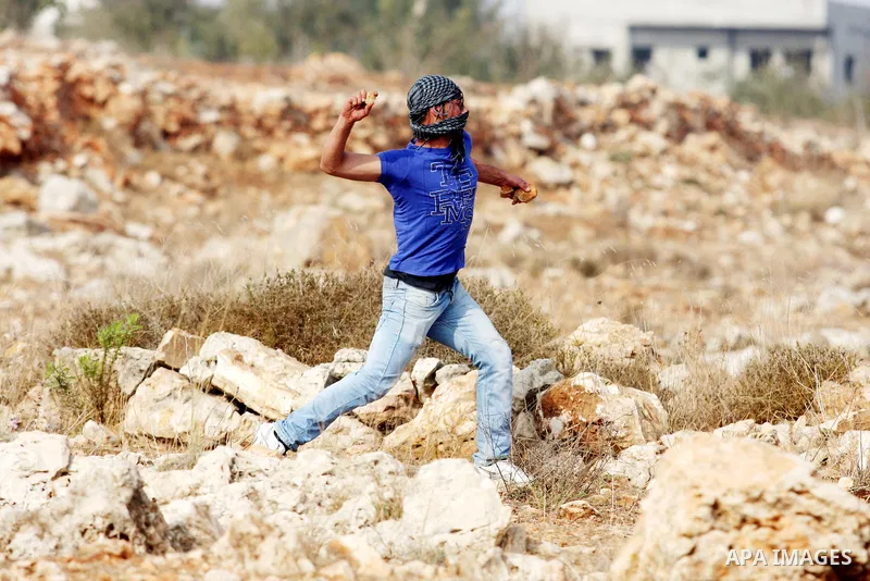 Palestinians argue with Israeli soldiers during a protest against the expansion of the nearby Jewish settlement of Halamish, in the West Bank village of Nabi Saleh near Ramallah, Friday, Nov. 2, 2012. Photo by Issam Rima...