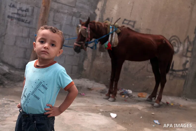 A Palestinian refugee boy stands outside his house in the Shati refugee camp in Gaza City on November 2, 2012. The turbulent political conditions that prevailed in Palestine after Balfour Declaration up to 1948, have sig...