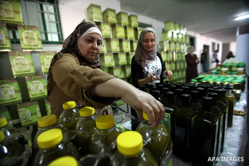Palestinian women display olives oil during the second annual Olive Festival at Al-Quds Open University in the West Bank city of Hebron on 07 November 2012. Olive oil is the backbone of the Palestinian agricultural econo...