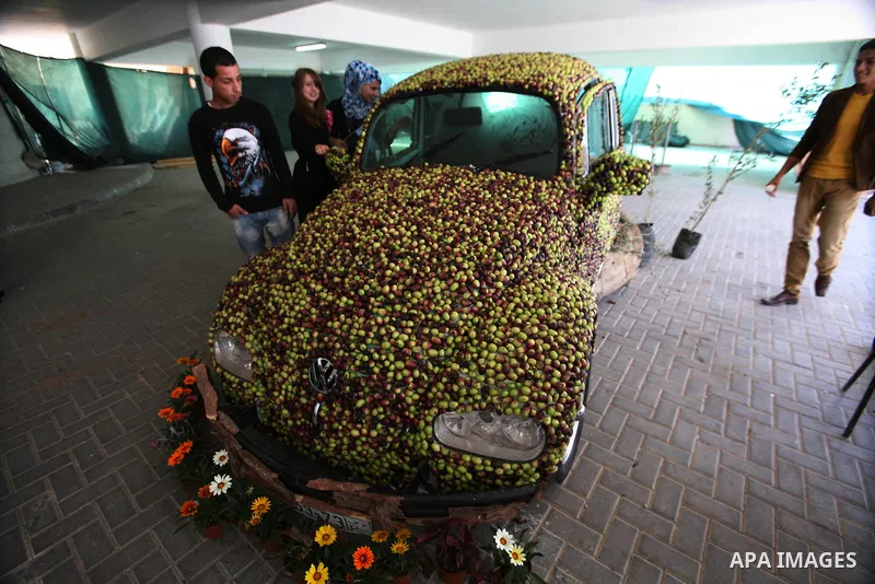 Palestinians stand near a car decorated with olive grains during the launch of the second annual Olive Festival at Al-Quds Open University in the West Bank city of Hebron on 07 November 2012. Olive oil is the backbone of...