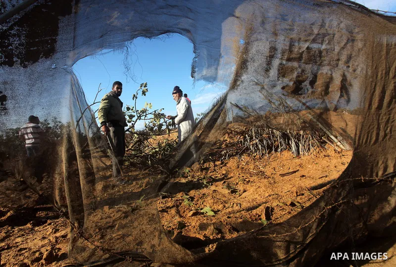 Palestinians inspect damage in their land damaged in an Israeli air strike in Gaza City November 13, 2012. The spike in violence, which comes as Israel is in the middle of an election campaign, raised the spectre of a br...
