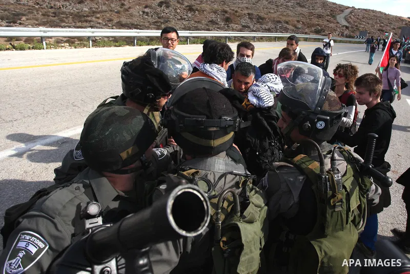 Israeli soldiers restrain Palestinian and foreigner protestors on a road leading to Modiin Illit settlement near the West Bank city of Ramallah, on November 14, 2012, as they demonstrate against Jewish settlements in the...