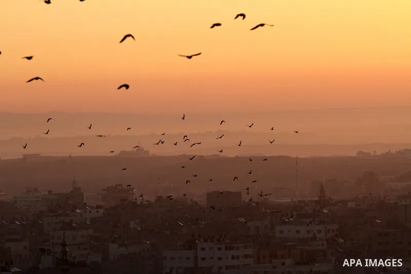 A general view shows Gaza from the top after Israeli air strikes in Gaza city Nov. 15, 2012. The Israeli air force continued striking Hamas targets in the Gaza Strip on Wednesday, after killing 10 people, including al-Ja...