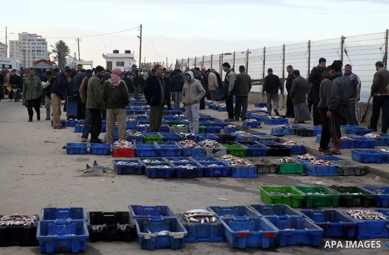 Palestinian men sell fish at a market in Gaza City November 27, 2012. Israel eased restrictions on Gaza fishermen on Saturday, further implementing truce brokered by Egypt after a week of fierce fighting, Palestinian off...