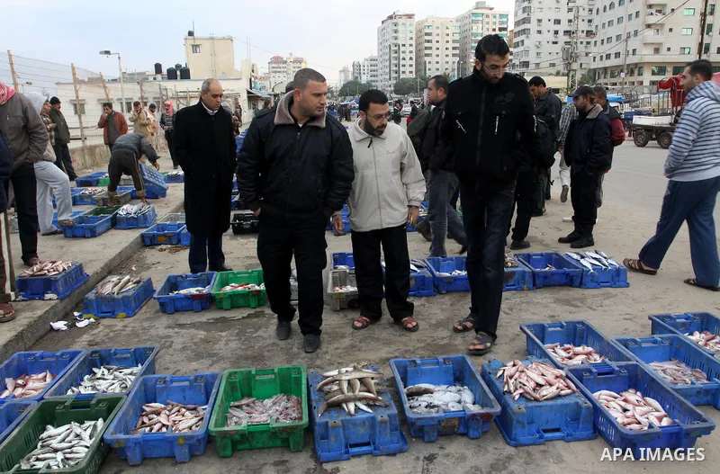 Palestinian men sell fish at a market in Gaza City November 27, 2012. Israel eased restrictions on Gaza fishermen on Saturday, further implementing truce brokered by Egypt after a week of fierce fighting, Palestinian off...