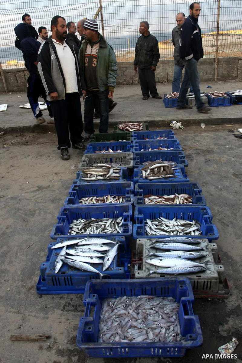 Palestinian men sell fish at a market in Gaza City November 27, 2012. Israel eased restrictions on Gaza fishermen on Saturday, further implementing truce brokered by Egypt after a week of fierce fighting, Palestinian off...