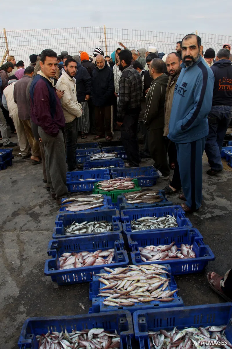 Palestinian men sell fish at a market in Gaza City November 27, 2012. Israel eased restrictions on Gaza fishermen on Saturday, further implementing truce brokered by Egypt after a week of fierce fighting, Palestinian off...