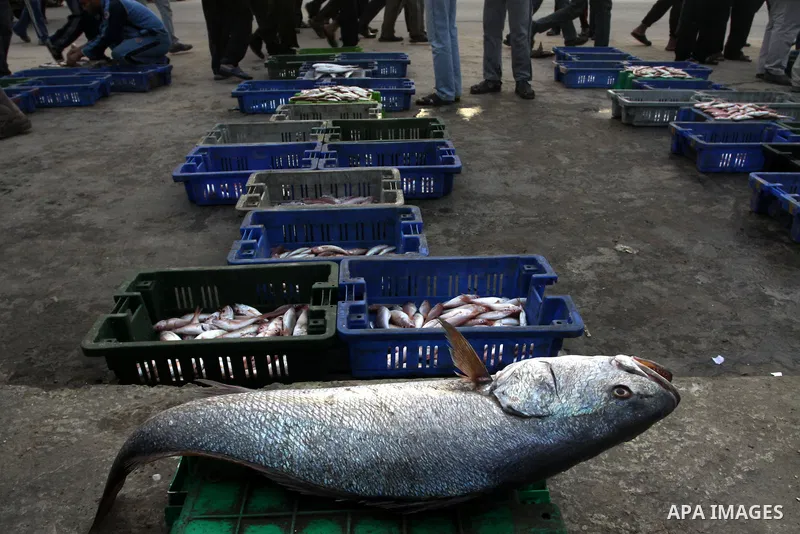 Palestinian men sell fish at a market in Gaza City November 27, 2012. Israel eased restrictions on Gaza fishermen on Saturday, further implementing truce brokered by Egypt after a week of fierce fighting, Palestinian off...
