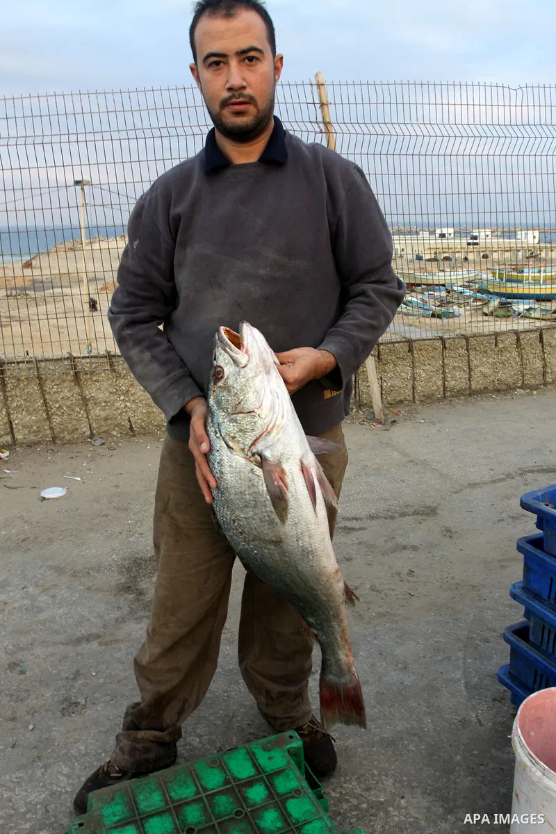 A Palestinian man sells fish at a market in Gaza City November 27, 2012. Israel eased restrictions on Gaza fishermen on Saturday, further implementing truce brokered by Egypt after a week of fierce fighting, Palestinian...