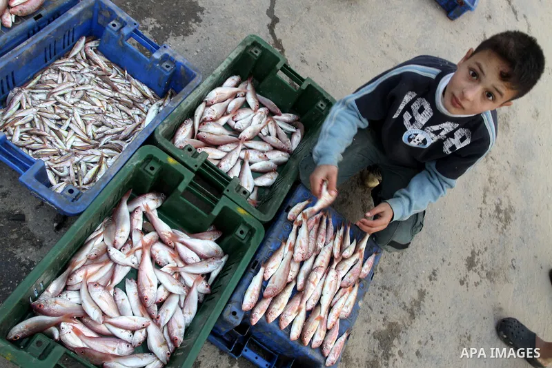 Palestinian men sell fish at a market in Gaza City November 27, 2012. Israel eased restrictions on Gaza fishermen on Saturday, further implementing truce brokered by Egypt after a week of fierce fighting, Palestinian off...