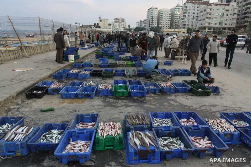 Palestinian men sell fish at a market in Gaza City November 27, 2012. Israel eased restrictions on Gaza fishermen on Saturday, further implementing truce brokered by Egypt after a week of fierce fighting, Palestinian off...