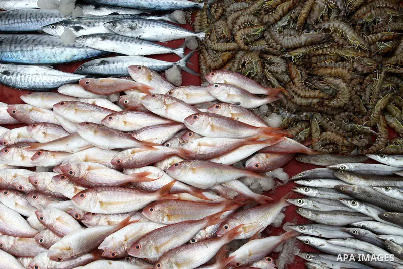Palestinian men sell fish at a market in Gaza City November 27, 2012. Israel eased restrictions on Gaza fishermen on Saturday, further implementing truce brokered by Egypt after a week of fierce fighting, Palestinian off...