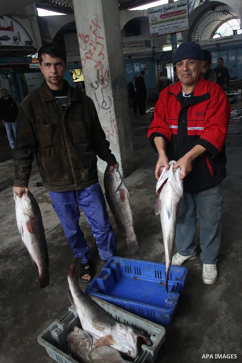 Palestinian men sell fish at a market in Gaza City November 27, 2012. Israel eased restrictions on Gaza fishermen on Saturday, further implementing truce brokered by Egypt after a week of fierce fighting, Palestinian off...