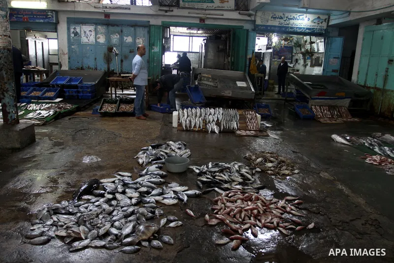 Palestinian men sell fish at a market in Gaza City November 27, 2012. Israel eased restrictions on Gaza fishermen on Saturday, further implementing truce brokered by Egypt after a week of fierce fighting, Palestinian off...