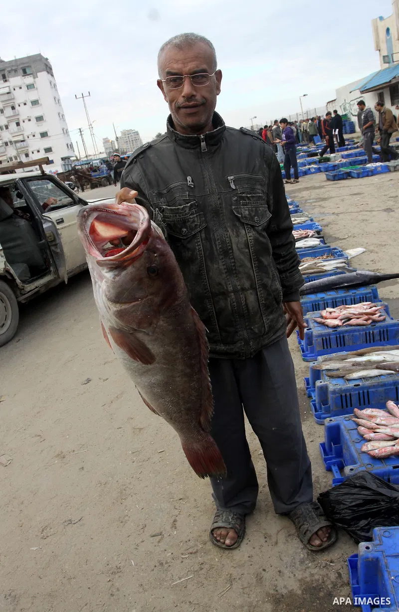A Palestinian man sells fish at a market in Gaza City November 27, 2012. Israel eased restrictions on Gaza fishermen on Saturday, further implementing truce brokered by Egypt after a week of fierce fighting, Palestinian...