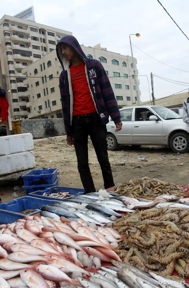 A Palestinian man sells fish at a market in Gaza City November 27, 2012. Israel eased restrictions on Gaza fishermen on Saturday, further implementing truce brokered by Egypt after a week of fierce fighting, Palestinian...