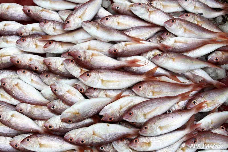 Palestinian men sell fish at a market in Gaza City November 27, 2012. Israel eased restrictions on Gaza fishermen on Saturday, further implementing truce brokered by Egypt after a week of fierce fighting, Palestinian off...