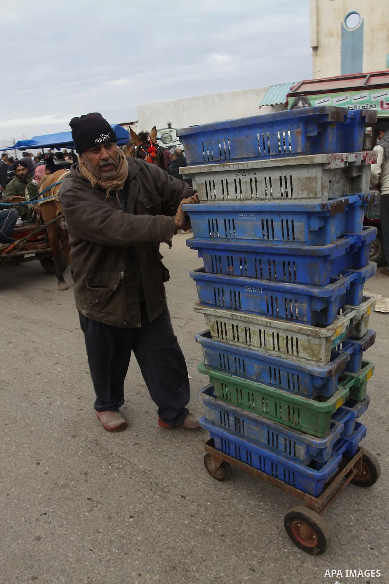Palestinian men sell fish at a market in Gaza City November 27, 2012. Israel eased restrictions on Gaza fishermen on Saturday, further implementing truce brokered by Egypt after a week of fierce fighting, Palestinian off...