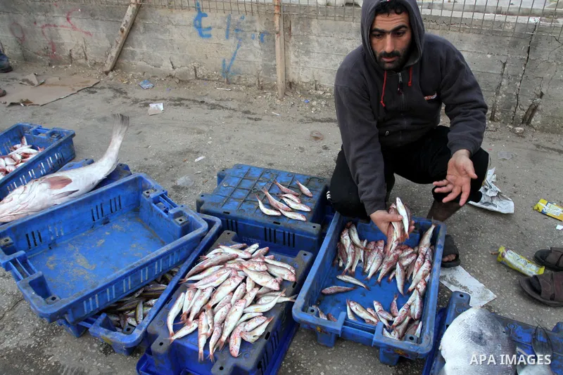 Palestinian men sell fish at a market in Gaza City November 27, 2012. Israel eased restrictions on Gaza fishermen on Saturday, further implementing truce brokered by Egypt after a week of fierce fighting, Palestinian off...