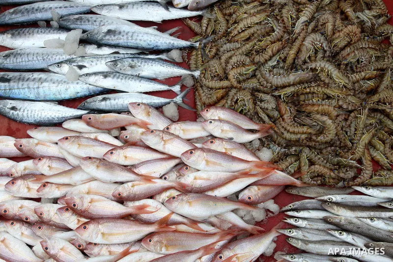 Palestinian men sell fish at a market in Gaza City November 27, 2012. Israel eased restrictions on Gaza fishermen on Saturday, further implementing truce brokered by Egypt after a week of fierce fighting, Palestinian off...