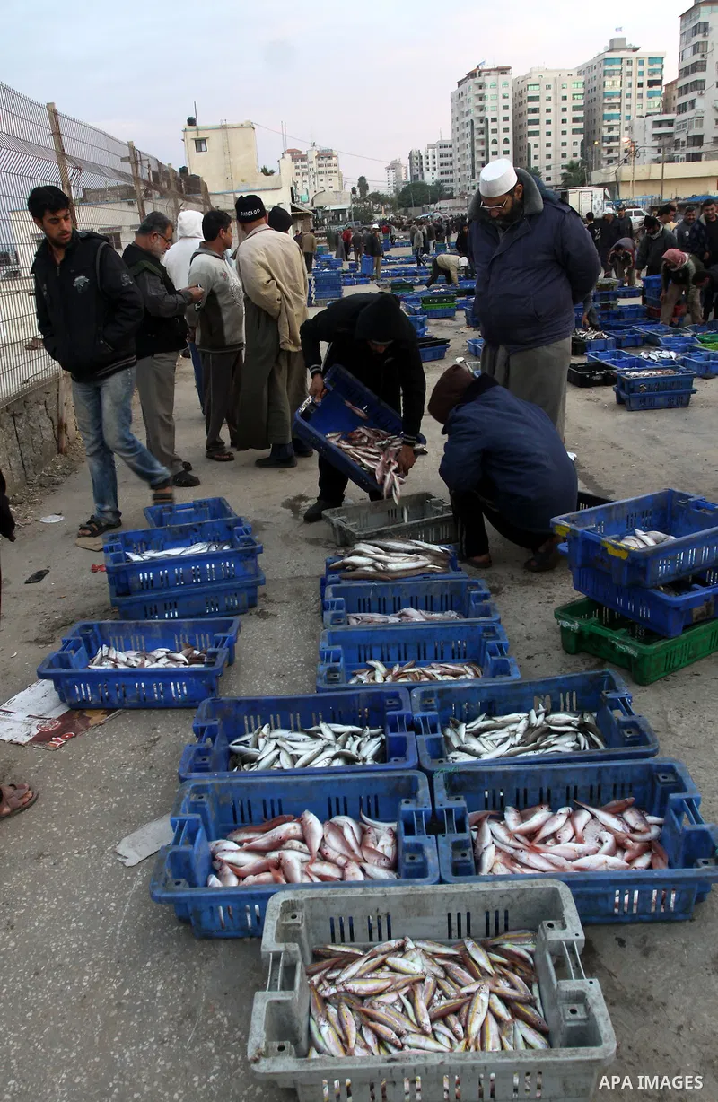 Palestinian men sell fish at a market in Gaza City November 27, 2012. Israel eased restrictions on Gaza fishermen on Saturday, further implementing truce brokered by Egypt after a week of fierce fighting, Palestinian off...