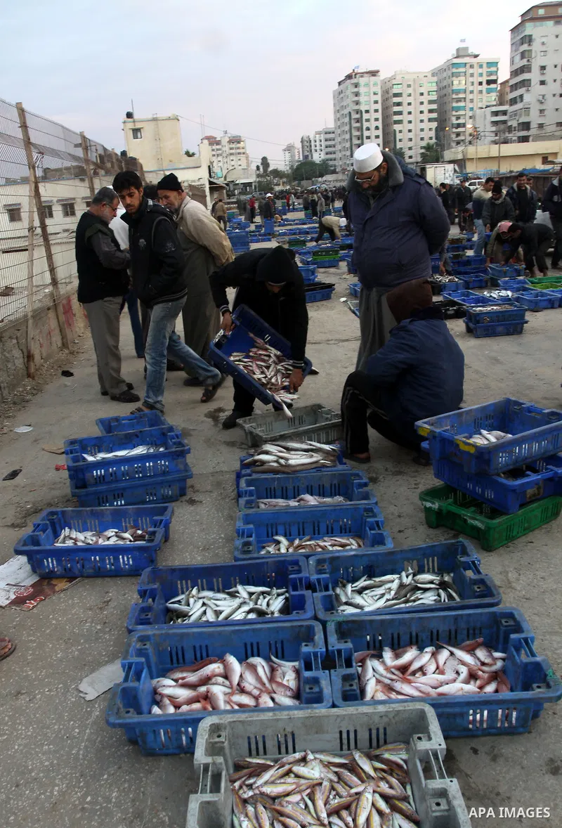 Palestinian men sell fish at a market in Gaza City November 27, 2012. Israel eased restrictions on Gaza fishermen on Saturday, further implementing truce brokered by Egypt after a week of fierce fighting, Palestinian off...