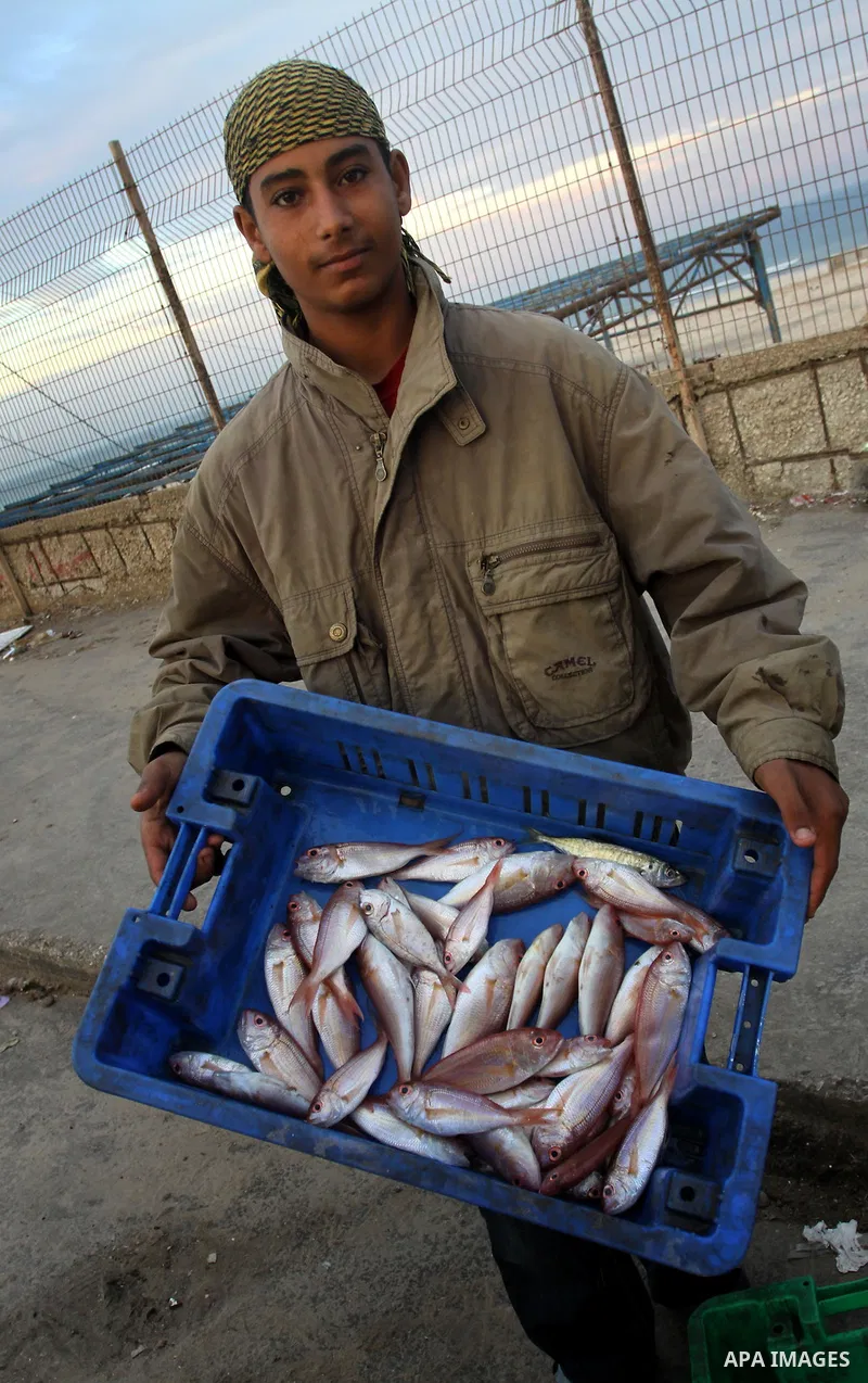 A Palestinian man sells fish at a market in Gaza City November 27, 2012. Israel eased restrictions on Gaza fishermen on Saturday, further implementing truce brokered by Egypt after a week of fierce fighting, Palestinian...