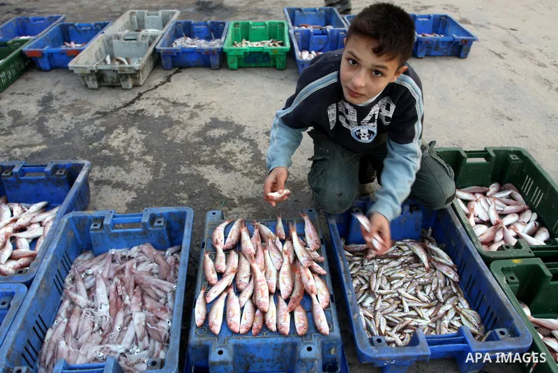 Palestinian men sell fish at a market in Gaza City November 27, 2012. Israel eased restrictions on Gaza fishermen on Saturday, further implementing truce brokered by Egypt after a week of fierce fighting, Palestinian off...