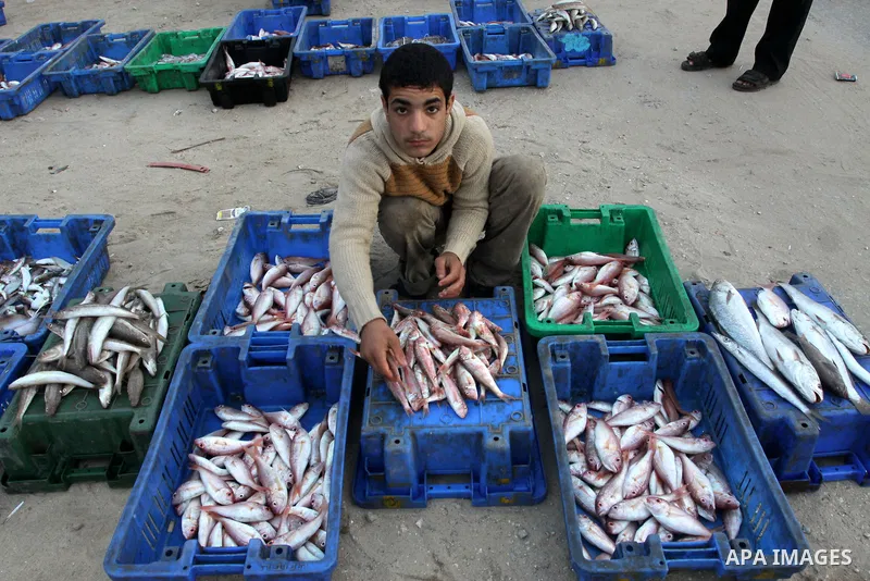 Palestinian men sell fish at a market in Gaza City November 27, 2012. Israel eased restrictions on Gaza fishermen on Saturday, further implementing truce brokered by Egypt after a week of fierce fighting, Palestinian off...