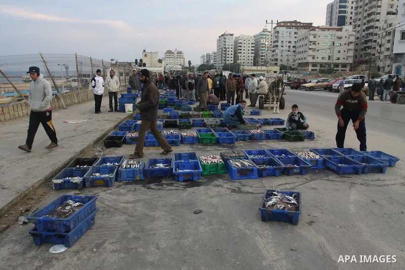 Palestinian men sell fish at a market in Gaza City November 27, 2012. Israel eased restrictions on Gaza fishermen on Saturday, further implementing truce brokered by Egypt after a week of fierce fighting, Palestinian off...