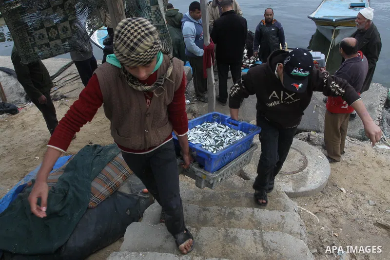 Palestinian men sell fish at a market in Gaza City November 27, 2012. Israel eased restrictions on Gaza fishermen on Saturday, further implementing truce brokered by Egypt after a week of fierce fighting, Palestinian off...