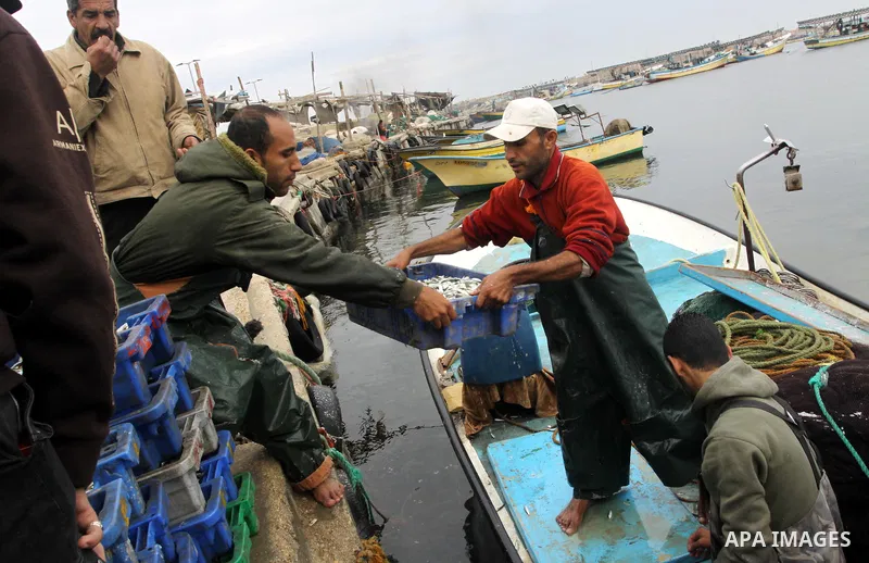 Palestinian men sell fish at a market in Gaza City November 27, 2012. Israel eased restrictions on Gaza fishermen on Saturday, further implementing truce brokered by Egypt after a week of fierce fighting, Palestinian off...