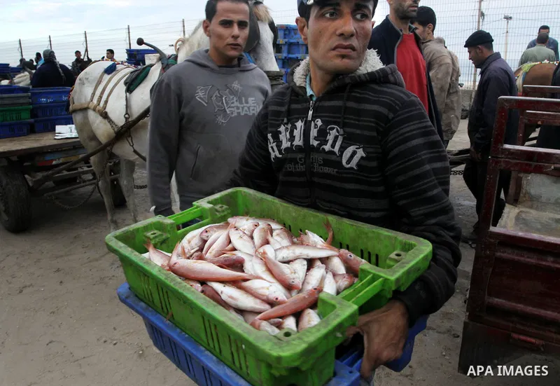 Palestinian men sell fish at a market in Gaza City November 27, 2012. Israel eased restrictions on Gaza fishermen on Saturday, further implementing truce brokered by Egypt after a week of fierce fighting, Palestinian off...