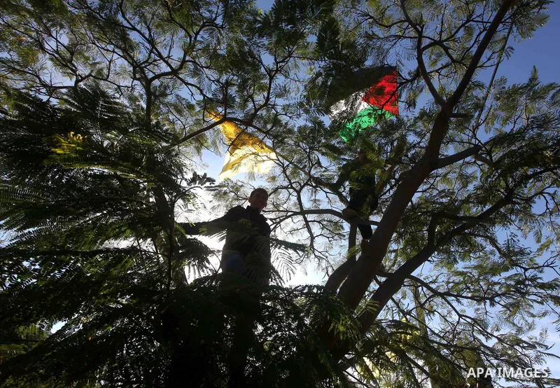 Palestinians take part in a rally in support of the efforts of President Mahmoud Abbas (pictured in poster) to secure a diplomatic upgrade at the United Nations, in Gaza City November 29, 2012. The U.N. General Assembly...