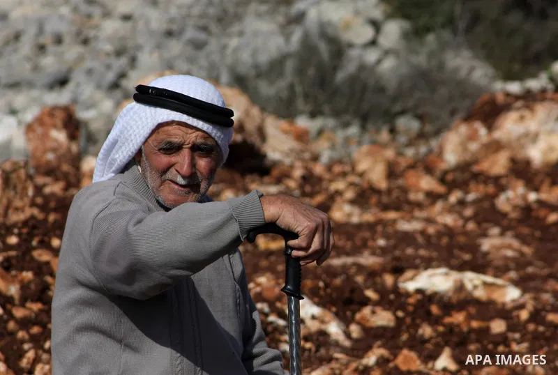 A Palestinian man inspects the olive trees which were cut by Israeli soldiers, in the West Bank village of Haja, west Nablus, Dec. 10, 2012. Photo by Nedal Eshtayah