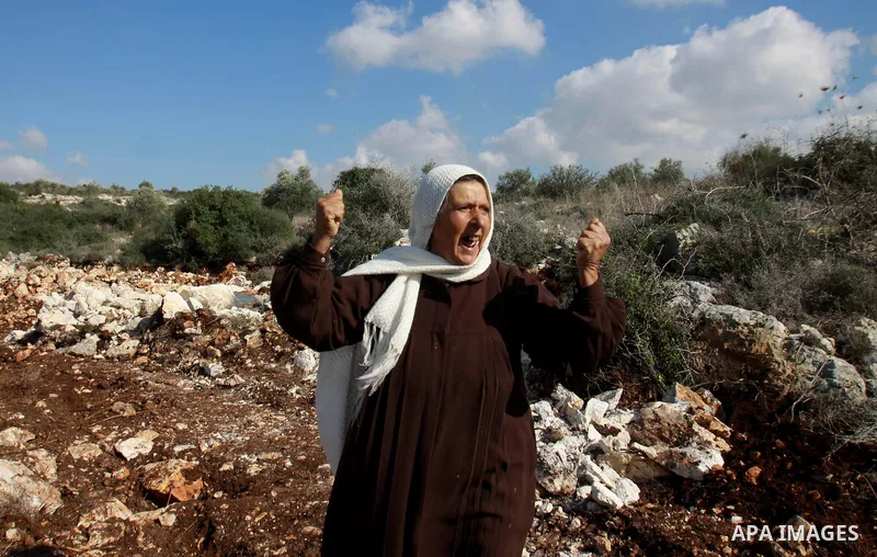 A Palestinian woman inspects the olive trees which were cut by Israeli soldiers, in the West Bank village of Haja, west Nablus, Dec. 10, 2012. Photo by Nedal Eshtayah