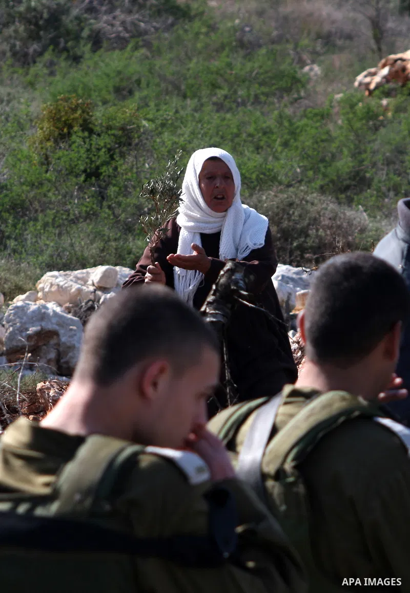 A Palestinian woman inspects the olive trees which were cut by Israeli soldiers, in the West Bank village of Haja, west Nablus, Dec. 10, 2012. Photo by Nedal Eshtayah