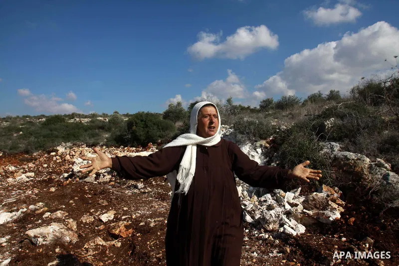 A Palestinian woman inspects the olive trees which were cut by Israeli soldiers, in the West Bank village of Haja, west Nablus, Dec. 10, 2012. Photo by Nedal Eshtayah