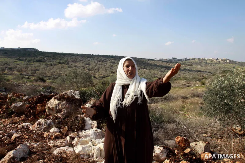 A Palestinian woman inspects the olive trees which were cut by Israeli soldiers, in the West Bank village of Haja, west Nablus, Dec. 10, 2012. Photo by Nedal Eshtayah