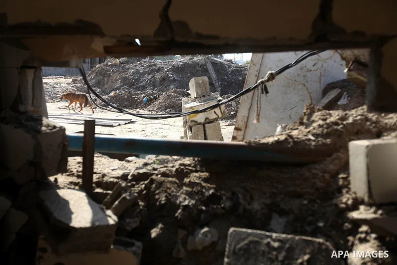 A Palestinian inspect damages in their house damaged in an Israeli air strike, marking the 4 th anniversary of the Israel-Gaza war, in Gaza City, on Dec. 26, 2012. The three-week offensive dramatically reduced the number...