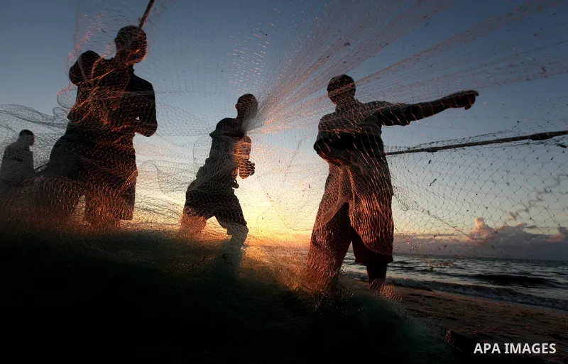 Palestinian fishers prepare to throw their trawl in the sea during sunset on the beach of Gaza city,on December 29, 2012. Photo by Majdi Fathi