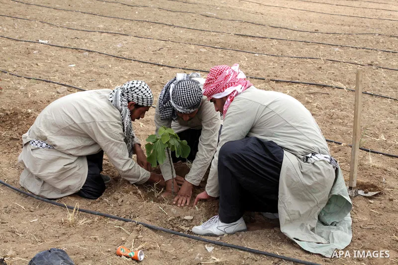 Palestinians dressed up as farmers plant trees as they take part in a rally marking Land Day in Beit Hanun in the northern Gaza Strip close to the border with Israel on March 31, 2013. The annual demonstrations mark the...