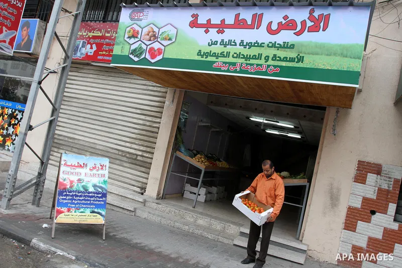 A Palestinian man displays fresh vegetables in front of his shop in Gaza city on April 17, 2013. Rami Naffar, 38, first Palestinian man sells organic and free of chemical fertilizers vegetables in his shop supervised by...
