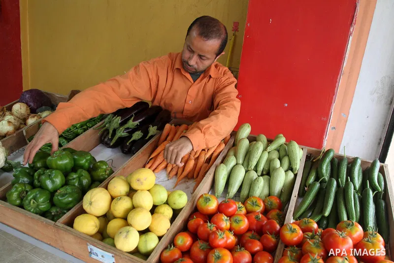 A Palestinian man displays fresh vegetables in his shop in Gaza city on April 17, 2013. Rami Naffar, 38, first Palestinian man sells organic and free of chemical fertilizers vegetables in his shop supervised by the Pales...