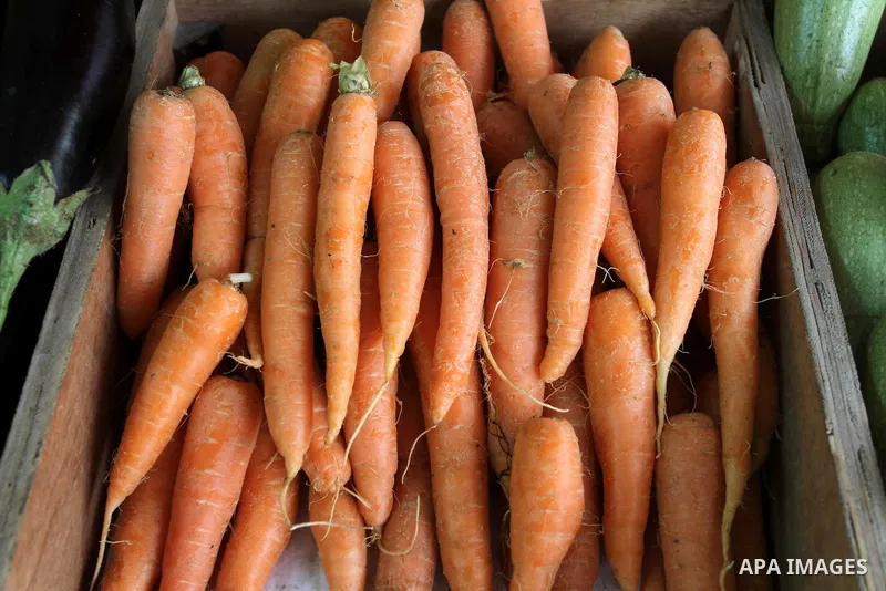 Fresh carrot is seen in a shop in Gaza city on April 17, 2013. Rami Naffar, 38, first Palestinian man sells organic and free of chemical fertilizers vegetables in his shop supervised by the Palestinian company for organi...