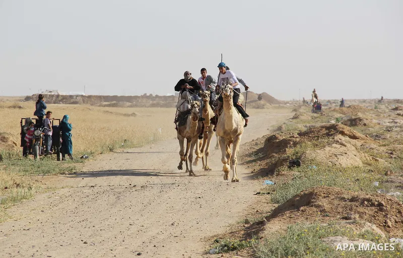 Palestinians jockey take part in a camel race in southern Gaza strip town of Khan Younis, on Apr. 26, 2013. Photo by Mosad Al Mahmom