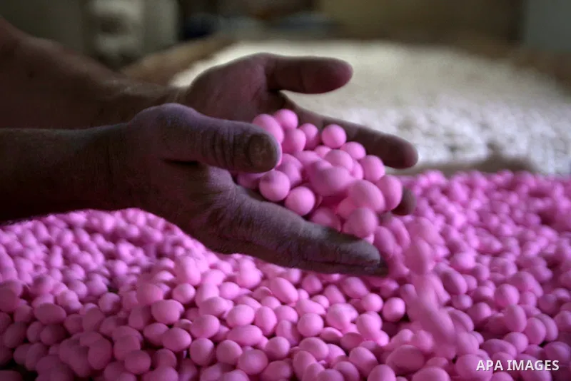 A Palestinian man prepares traditional candy containing groundnut and sugar at his workshop in the West Bank city of Nablus, on May 23, 2013. Photo by Nedal Eshtayah