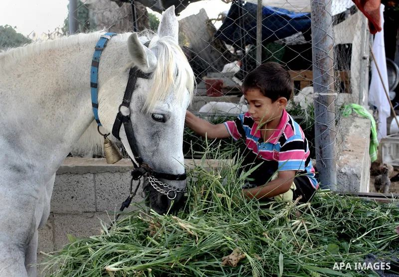 Palestinian refugees children play on the ground of their family's home in the Bait Lahiya camp, northern Gaza Strip, 18 June 2013. According to recent Palestinian media reports Beit Lahiya and its surrounding border are...