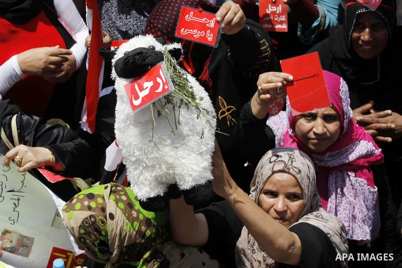 Protesters opposing Egyptian President Mohamed Mursi holds a sign during a protest at Tahrir square in Cairo June 30, 2013. Mass demonstrations across Egypt on Sunday may determine its future, two and half years after pe...